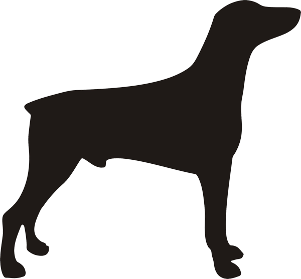 Hundeaufkleber Dobermann