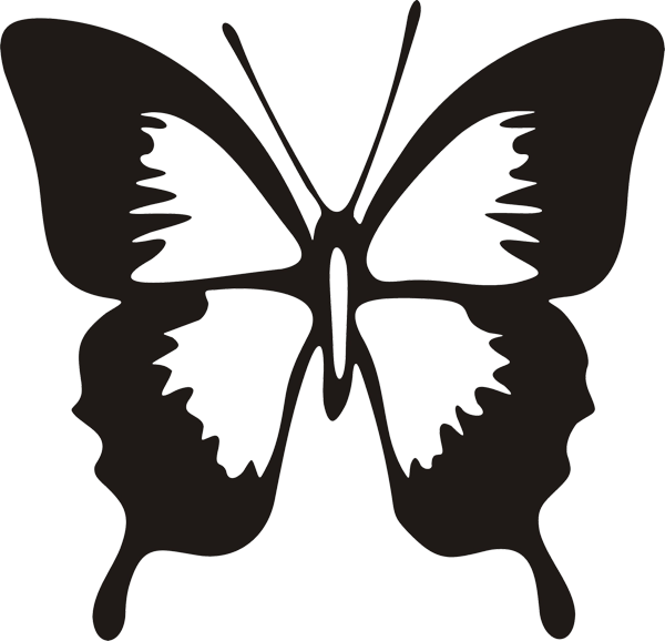 Schmetterling -024