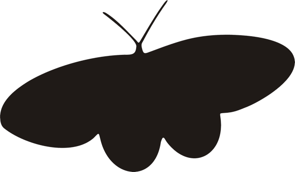 Schmetterling -015