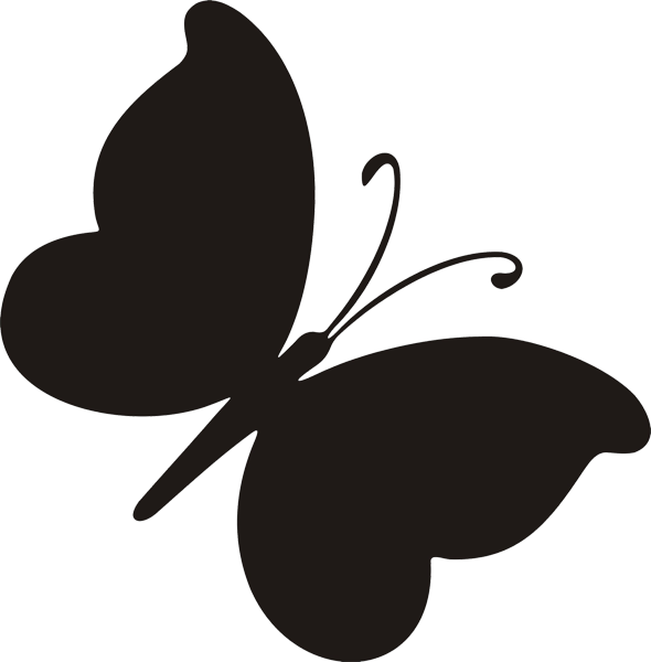 Schmetterling -019