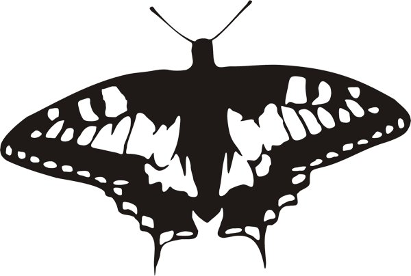 Schmetterling -016