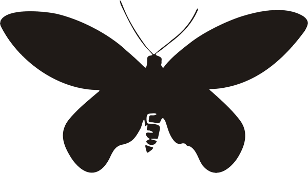 Schmetterling -009