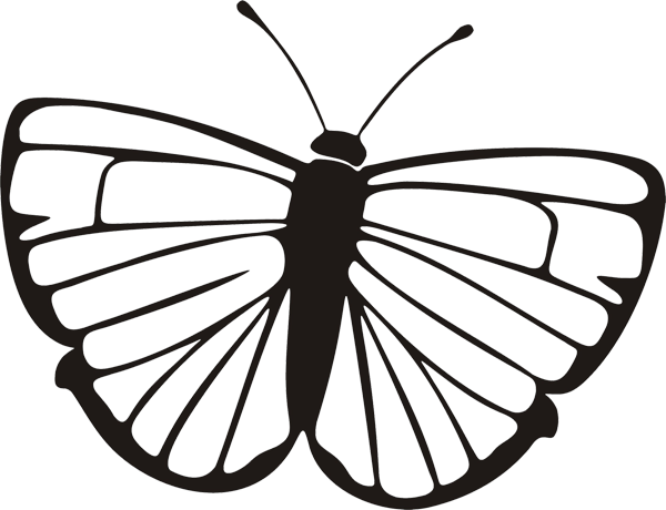 Schmetterling -012