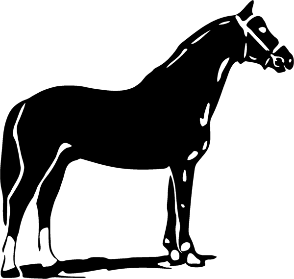 Aufkleber Pferd