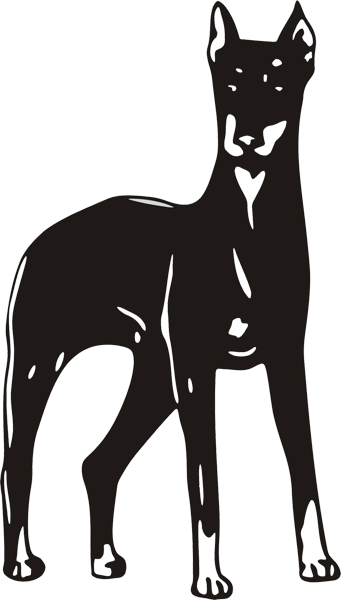 Hundeaufkleber Dobermann